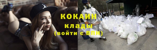 шишки Бородино