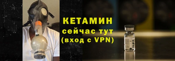 шишки Бородино