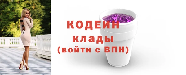 шишки Бородино