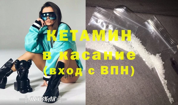 шишки Бородино
