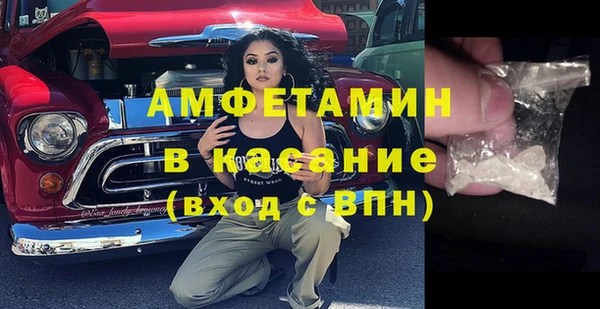 шишки Бородино