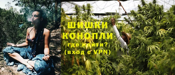 шишки Бородино