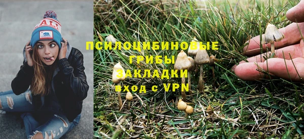 амф Верхний Тагил