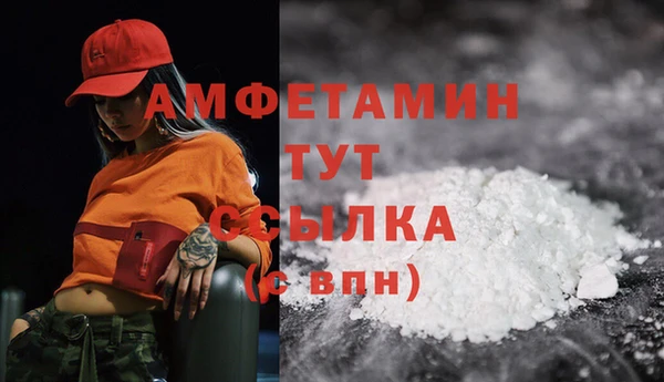 амф Верхний Тагил