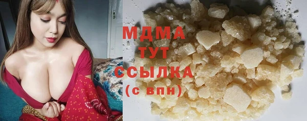 шишки Бородино