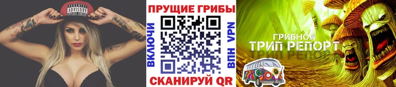 дарнет шоп  Избербаш  KRAKEN вход  Псилоцибиновые грибы MAGIC MUSHROOMS 